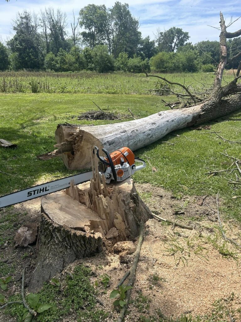 Tree Services Lafayette IN | Doin' It Wells