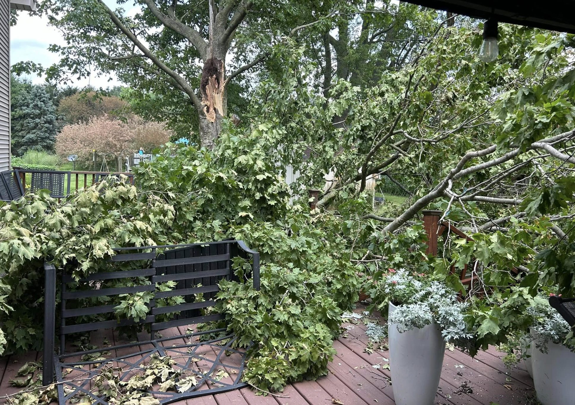 Lafayette Emergency Tree Service. | Doin' It Wells