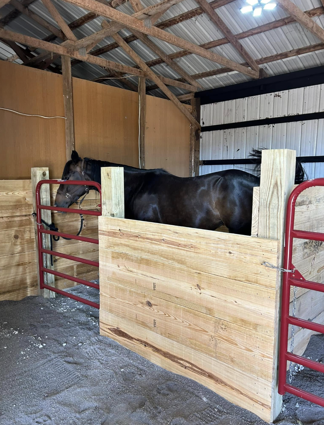 Lafayette Pet Fences | Doin' It Wells