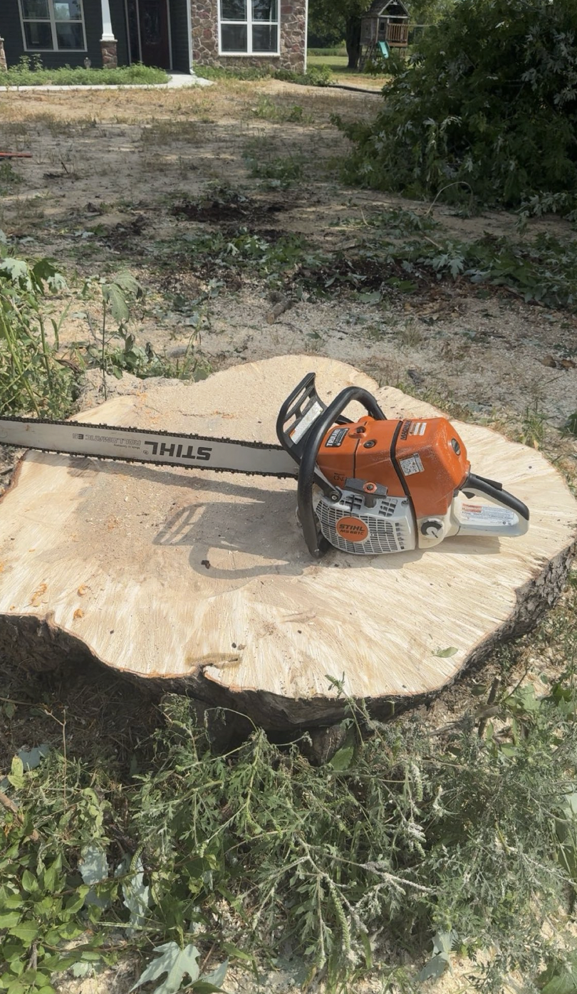 Lafayette Stump Grinding Service | Doin' It Wells