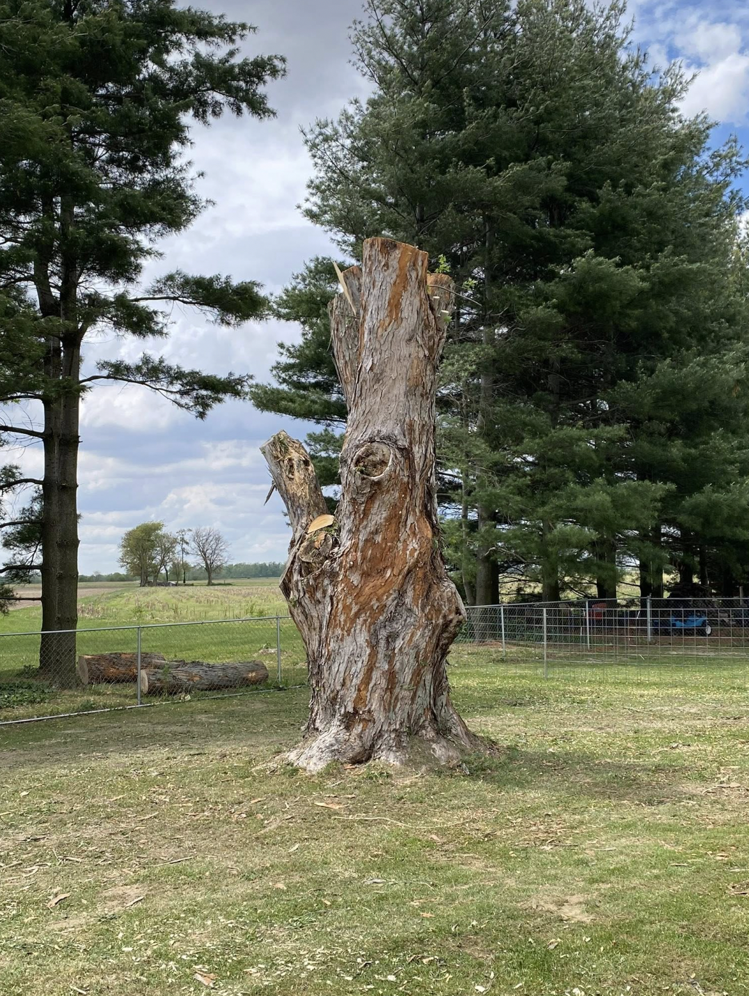 Tree Services Lebanon IN | Doin' It Wells