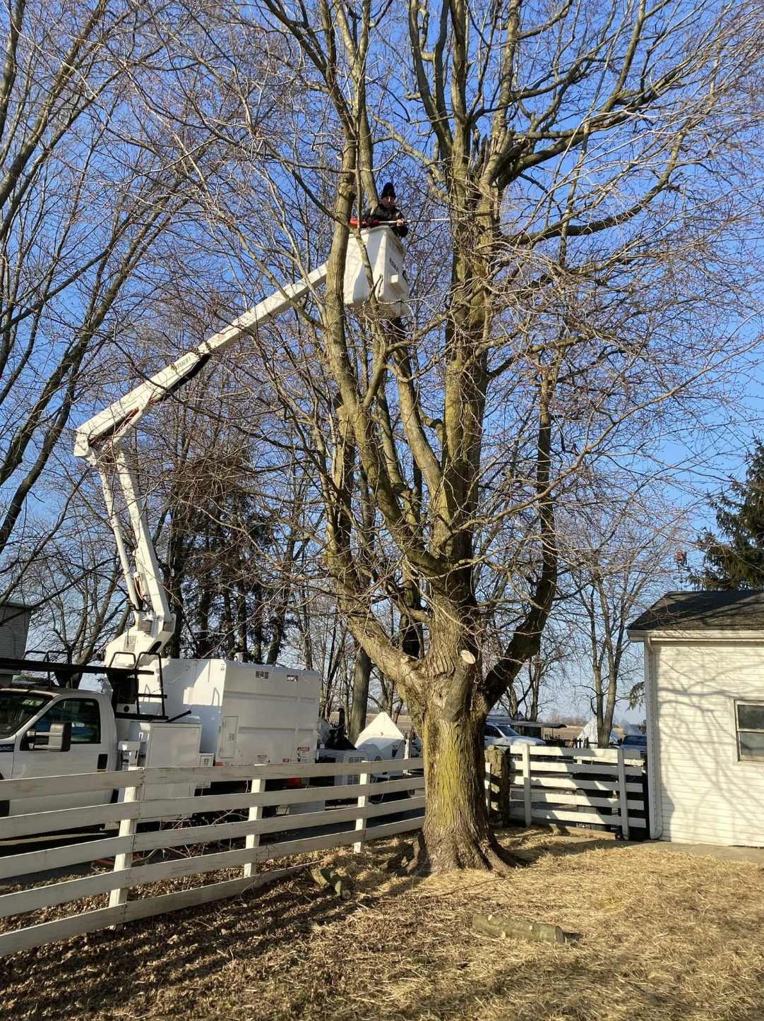 Tree Services Lafayette IN | Doin' It Wells