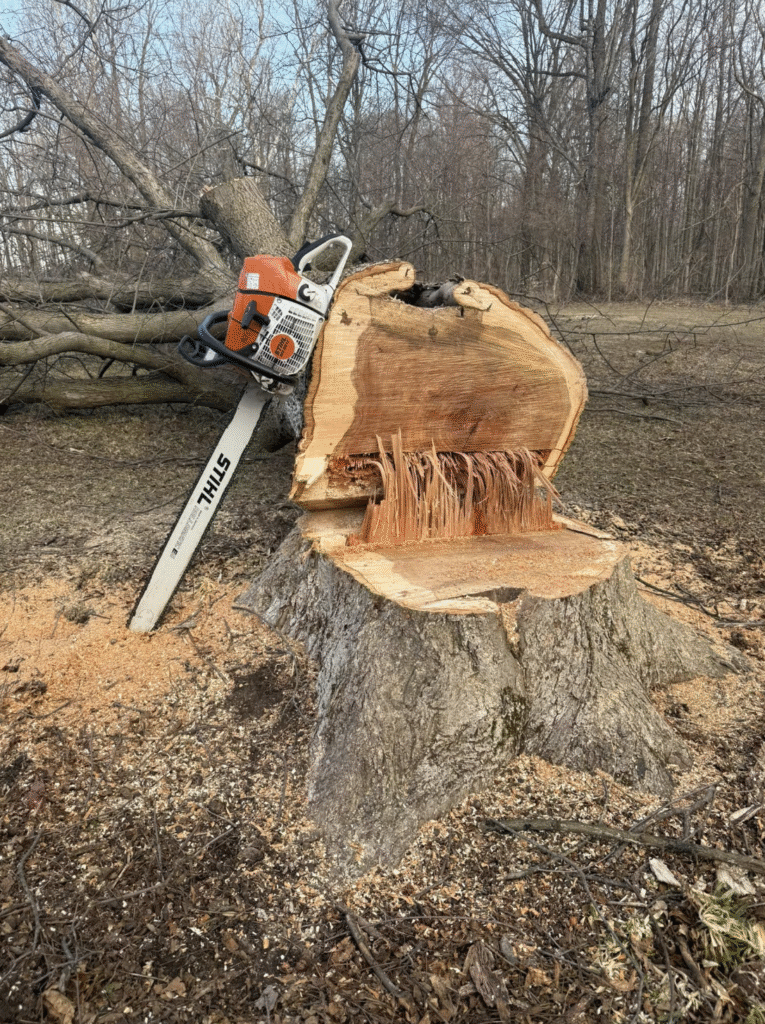 Lafayette Stump Grinding Service | Doin' It Wells
