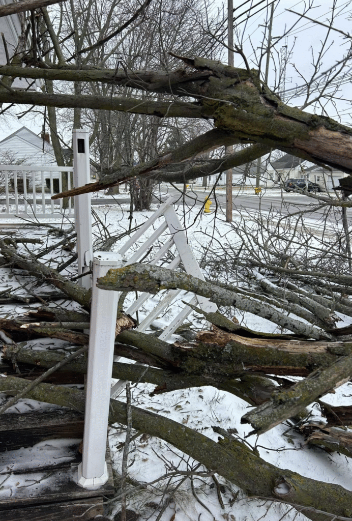 Lafayette Storm Damage Cleanup | Doin' It Wells